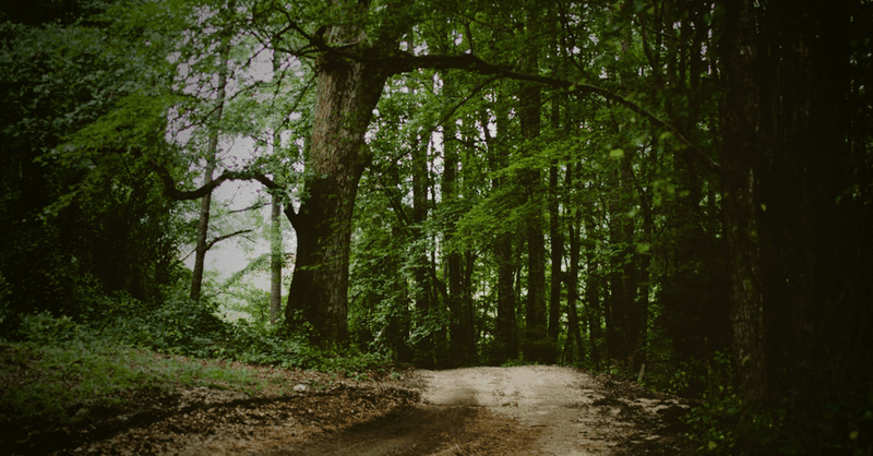 Reduce the environmental impact of your business