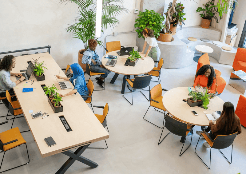 Modern Co-Working Office With Colleagues.